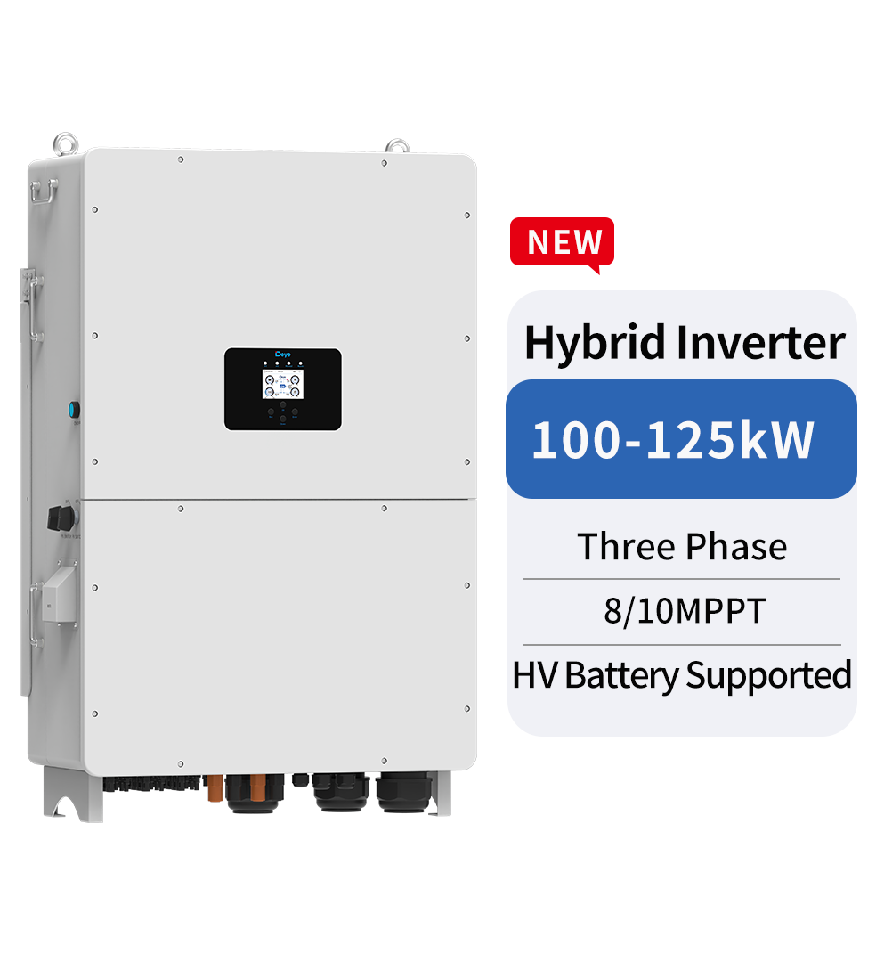 SUN-100/125K-SG02HP3-EU-GM8/GM10 SUN-100/125K-SG02HP3-EU-GM8/GM10